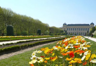 jardin des plantes