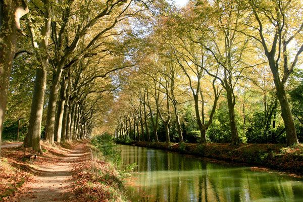 canaldumidi-compressor