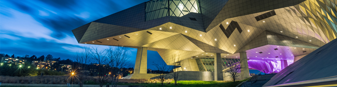 Les musées de Lyon depuis chez soi