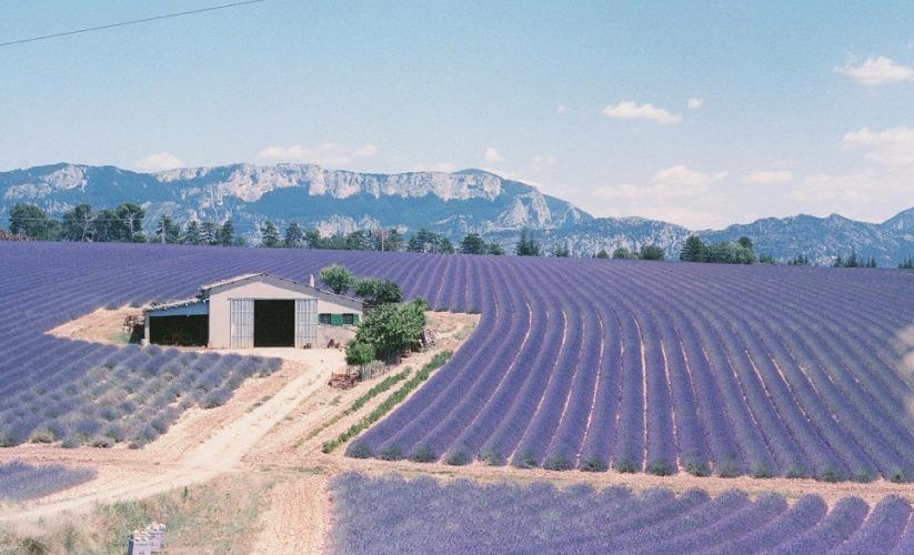 Été 2025 à Aix-en-Provence : que faire ? Activités et sorties